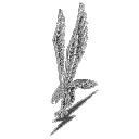 𝐏𝐎𝐋𝐈𝐒𝐇 𝐓𝐀𝐒𝐊 𝐅𝐎𝐑𝐂𝐄