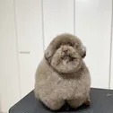 BeatVegetableToIt