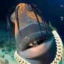 AHH AHHH IM GONNA BUSS's icon