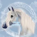 Crystal Dressage - 𝐎𝐒