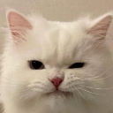 fried strawberries Server Icon