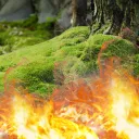 ﹐mossland .ᐟ ⊃ Discord Server Icon