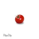 [archived] TOMATO CULT Discord Server Icon