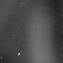 Looking for Gay Boyfriend