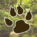 Wilder Trails