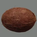 The Coconut Collective