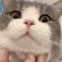 Pet simulator 99⼁SKLEPY