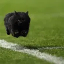 《S U P》香港 MCSR 社群 — 鬼佬勿擾