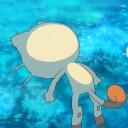 Pokémon  Meowth ¡MUERTO! Discord Server Icon
