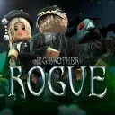 Big Brother Rogue™