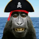 Monkey Pirates