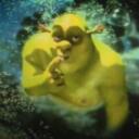 Shrek appreciation Discord Server Icon