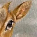 3'zlan.ae Discord Server Icon