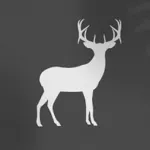 White Deer Studio Icon