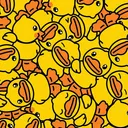 Ducks dudes