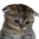 cat hu Discord Server Icon
