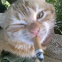 ! ! WRAITHS 死 Discord Server Icon