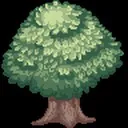 Baum