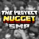 Proyect Nugget