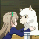 Alpacasso