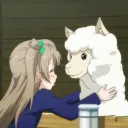 Alpacasso