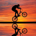 The BMX Hub