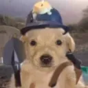 Maxbetteleyv Discord Server Icon