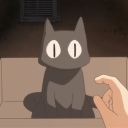 CatWiki™