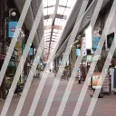 the linear night market
