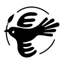 ✧.* Mourning Dove Studio * .✧