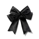 Black Ribbon 黑丝带