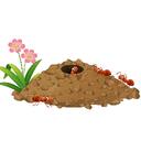 a server where we all pretend to be ants in an ant colony Discord Server Icon