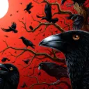 The Crow's Nest