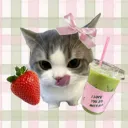 grump’s café