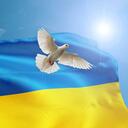Friends-Ukraine-Support Discord Server Icon
