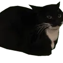 Pollo corp Discord Server Icon