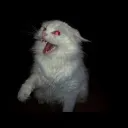 Discovery icon for S̴e̴r̴v̴e̴r̴N̴o̴t̴F̴o̴u̴n̴d̴ Discord server