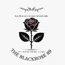 THE BLACK ROSE  | bR1