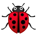 BEETLE HUBS Icon