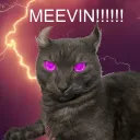 MEEVIN FANCLUB!1!!
