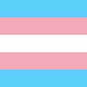 Trans Land Discord Server Icon