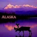 𝓐𝓵𝓪𝓼𝓴𝓪