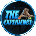 The Experience
