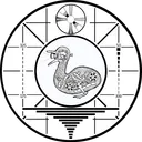 𝗘𝘆𝗲 𝗼𝗳 𝘁𝗵𝗲 𝗗𝗶𝘀𝗰𝗼𝗿𝗱