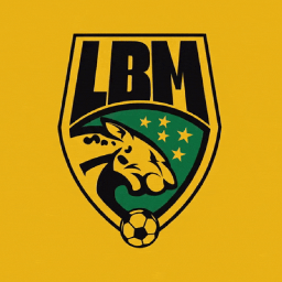 Discovery icon for LBM® Mamoball #4K Discord server
