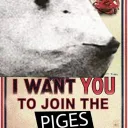 The Pige Farm