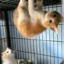 The bros Discord Server Icon