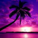 🌴Kpop Paradise🌴