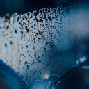 Naku_nanami Discord server icon