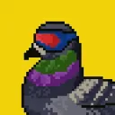Wicked Pigeon Posse